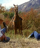 2006-OutlawTrailTreasureofButchCassidy-014.jpg