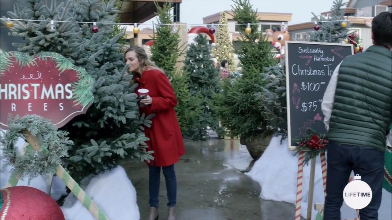 2017-FourChristmasandWedding-0304.jpg