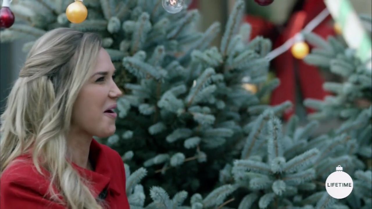 2017-FourChristmasandWedding-0309.jpg