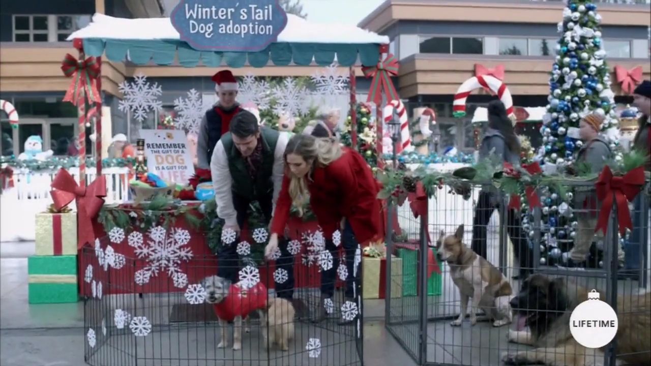 2017-FourChristmasandWedding-0403.jpg