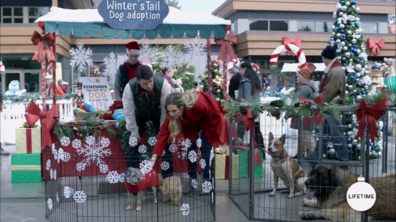 2017-FourChristmasandWedding-0404.jpg