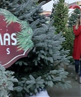 2017-FourChristmasandWedding-0300.jpg