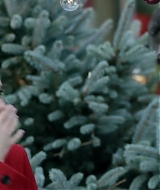 2017-FourChristmasandWedding-0310.jpg