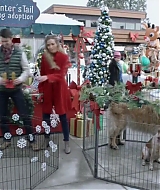 2017-FourChristmasandWedding-0367.jpg