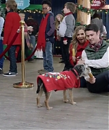 2017-FourChristmasandWedding-0391.jpg