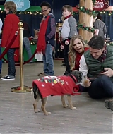 2017-FourChristmasandWedding-0392.jpg