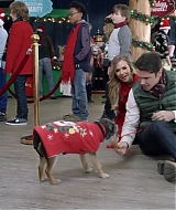 2017-FourChristmasandWedding-0393.jpg