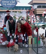 Filename=2017-FourChristmasandWedding-0403.jpg
Filesize=147KiB
Dimensions=1280x720
Date added=Sep 06, 2021 2017-FourChristmasandWedding-0403.jpg