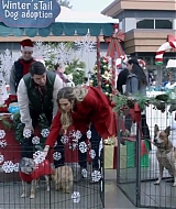 2017-FourChristmasandWedding-0404.jpg