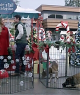 2017-FourChristmasandWedding-0425.jpg