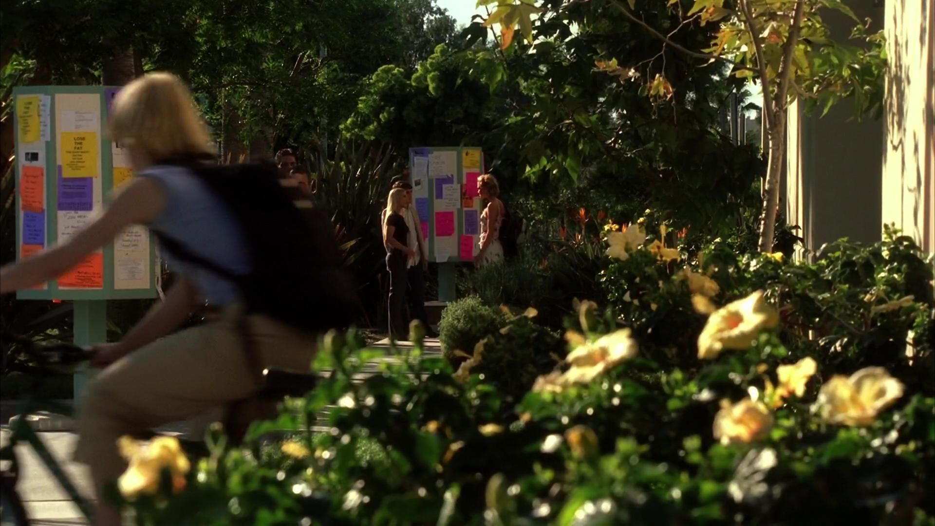CSIMiami-S03E16_05.jpg