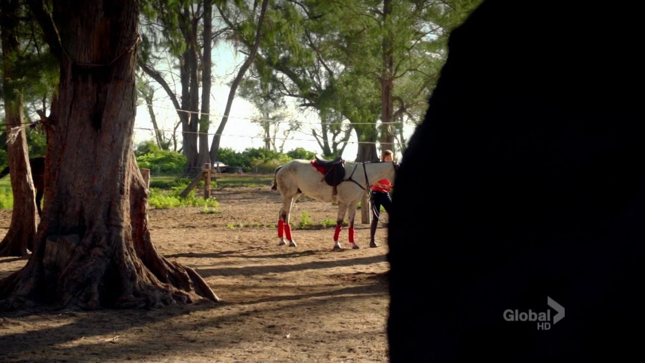 HawaiiFive0-S03E04-048.jpg