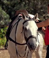 Filename=HawaiiFive0-S03E04-051.jpg
Filesize=108KiB
Dimensions=1280x720
Date added=Mar 20, 2022 HawaiiFive0-S03E04-051.jpg